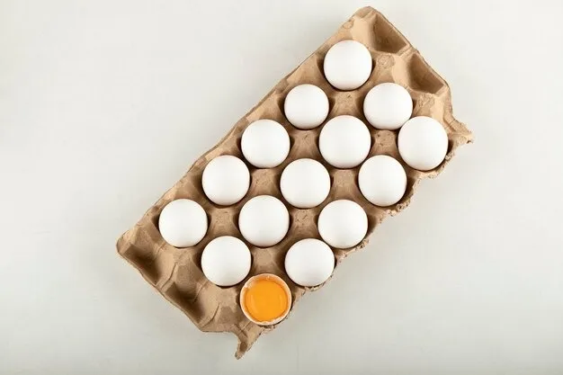 Mesoforming Egg Packaging with Paper Pulp and Fresh Eggs