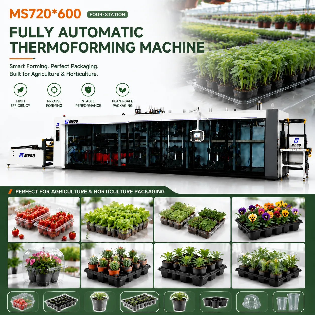 MESO MS720*600 4-Station Thermoforming Machine for Agriculture Seedling Trays and Nursery Plant Pots