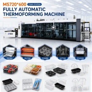 MESO MS720*600 4-Station Automatic Thermoforming Machine Process for Plastic Trays, Cups and Blister Packaging
